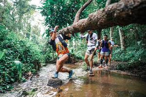 BIB: 
                            <button type="button" onclick="openModal(25368698)" class="btn btn-primary btn-sm float-right btn-popup" data-toggle="modal" data-target=".modal-high-quality">
                        <i class="fas fa-shopping-cart"></i> Add to Cart
                    </button>
                                            <button type="button" onclick="isThisMe(25368698, true)" class="btn btn-success btn-sm float-right btn-popup btn-isme hidden" data-toggle="tooltip" data-placement="bottom" title="นี่คือรูปของคุณใช่ไหม คลิกที่นี่เพื่อเอาเข้าอัลบั้ม">
                        <i class="fas fa-plus"></i> Add to album
                    </button>
                    <button type="button" onclick="isThisMe(25368698, false)" class="btn btn-warning btn-sm float-right btn-popup btn-isnotme hidden">
                        <i class="fas fa-ban"></i> Remove from album
                    </button>